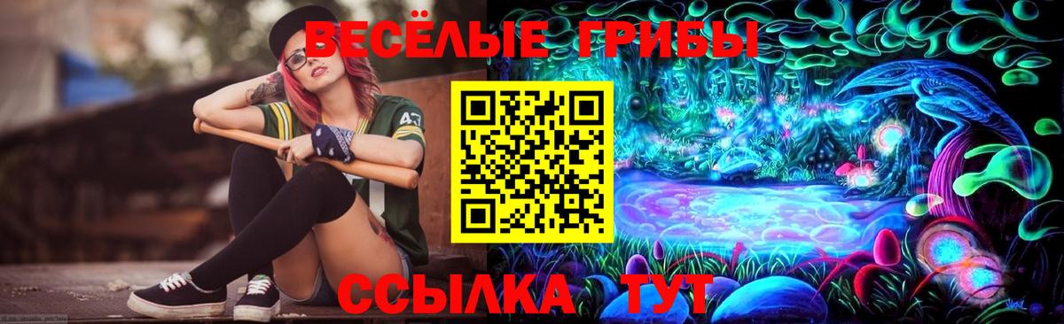 Галлюциногенные грибы Psilocybine cubensis  Галлюциногенные грибы мицелий  Вход с VPN  Жуковский 