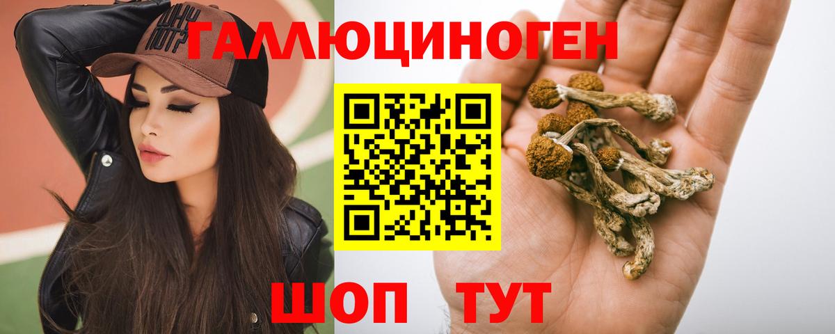 Псилоцибиновые грибы MAGIC MUSHROOMS Жуковский